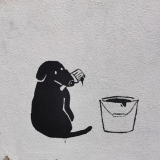 Логотип @dogsns - Сербия - Собачники Нови Сада