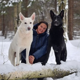 Логотип @dogtrening - Догтренинг