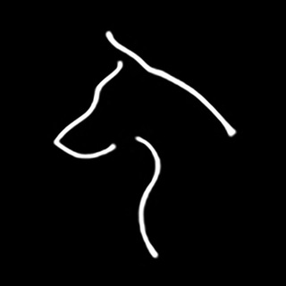 Логотип @dogupfoto - 📷 DOGUPFOTO