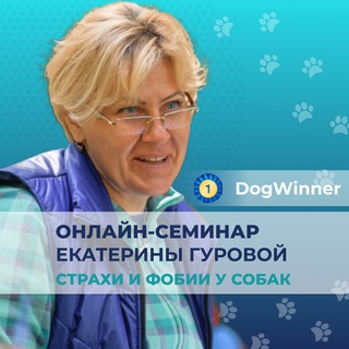 Логотип @dogwinner_gurova - Моя тревожная собака