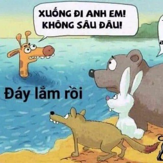 Логотип @doibuo - CHỢ mua bán DRK ETH BTCV.....v.v