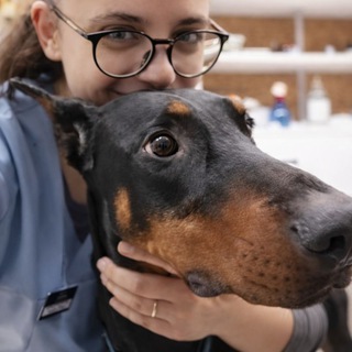 Логотип @dokhaha - Dokhaha