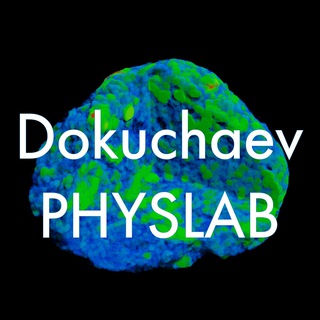 Логотип @dokuchaev_physlab - Dokuchaev PhysLab