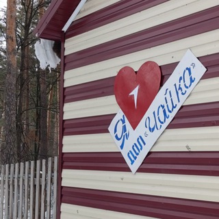 Логотип @dol_chaika - ДОЛ "Чайка" г. Буинск