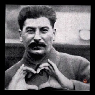 Логотип @dolgova1 - Д О Л Г О В Щ И Н А