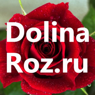 Логотип @dolinaroz_23 - DolinaRoz.ru