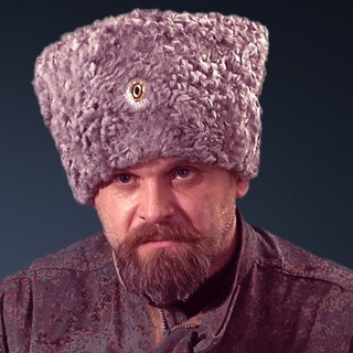 Логотип @dolojigoiudejskoe - Комбриг Алексей Мозговой