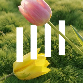 Логотип @dolyame_ru - Долями