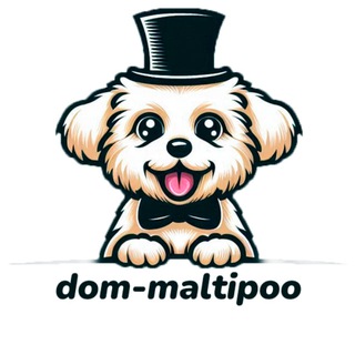 Логотип @dom_maltipoo - 🏠ДОМ МАЛЬТИПУ🧸