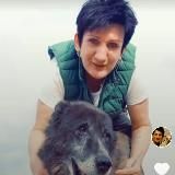 Логотип @dom_vasilek_spb - Дом для собак "Василёк"