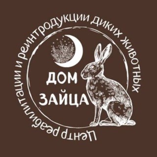 Логотип @dom_zaytsa - Дом Зайца