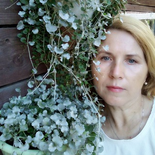 Логотип @dom_zvetochnici - Домик цветочницы