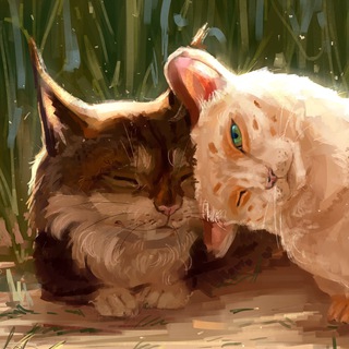 Логотип @domashnie_jivotnie - Домашние Животные | Уход