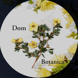 Логотип @dombotanica2882 - Dom_botanica