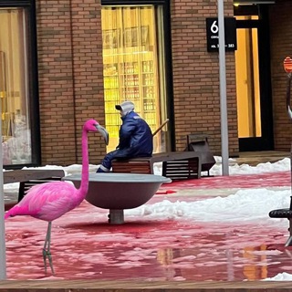 Логотип @domc_stop_info - УК Высота - дно ЖКХ! (инфоканал)