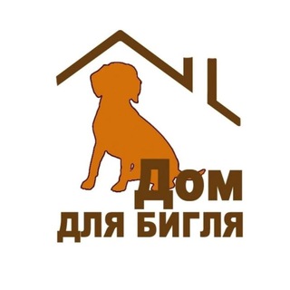 Логотип @domdlyabiglya - ДОМ ДЛЯ БИГЛЯ