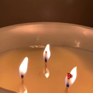 Логотип @domdushii - moe