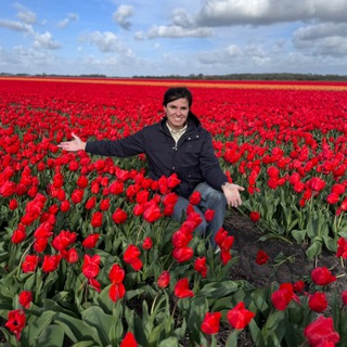 Логотип @domenika_flowers_plants - Domenika Flowers