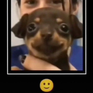 Логотип @domik_haruuushi - домик начинающего писателя.