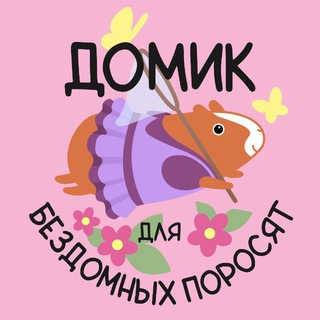 Логотип @domiksvinok - ДОМИК для бездомных поросят