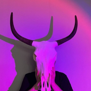 Логотип @domilariii - domilari