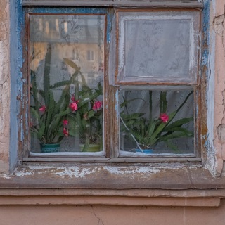 Логотип @domkzn - Дом и соседи