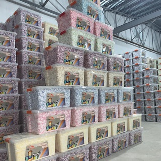 Логотип @dommasteroboy - Dom Master🏠