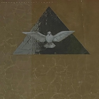 Логотип @dommecenata - Дом мецената