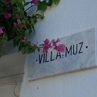 Логотип @dommuz_kino - Дом Муз. Кино