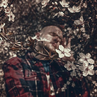 Логотип @domnegucci - ДОМ НЕ ГУЧЧИ