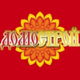 Логотип @domostroybiysk - Домострой - Бийск