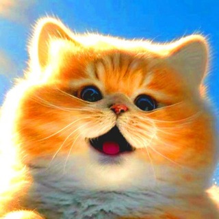 Логотип @domovoy_tv - ДомовойTV - Канал про животных