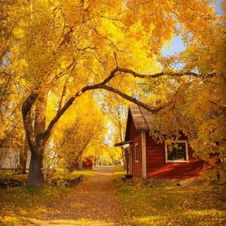 Логотип @domovoytvoy - Domovoy