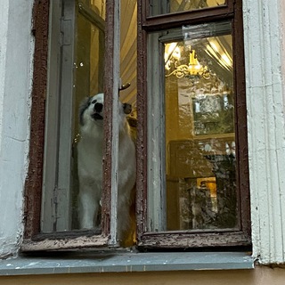 Логотип @domteleshova - Дом Телешова