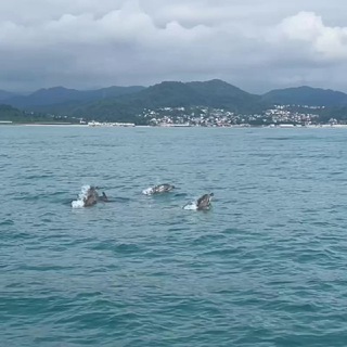 Логотип @domvardane - Дом в Вардане