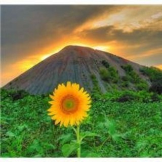 Логотип @donetskiy_nabat - Свидетели ДНР