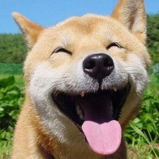 Логотип @donvidosone - DonVidos