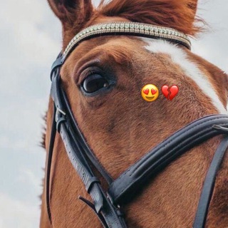 Логотип @dorama_kuindymekendi - Дорамалар🦋