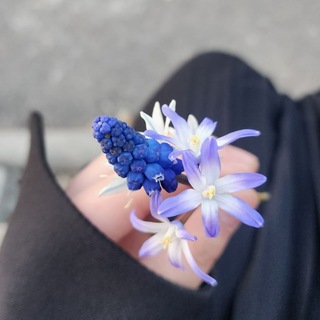 Логотип @doramalin - sarakxkim🤎📀