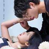 ДОРАМЫ | Двойной путь 💜