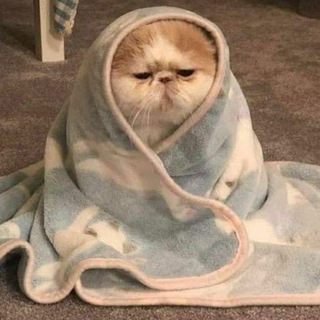 Логотип @doricomment - Комментики