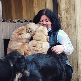 Логотип @doroga_domoj_shaxti - doroga_domoj_