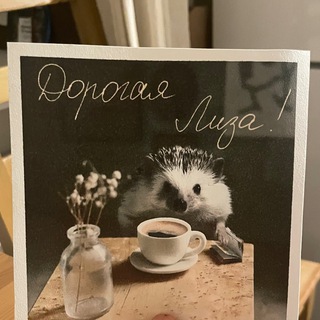 Логотип @dorogayaliza - Дорогая Лиза Чат