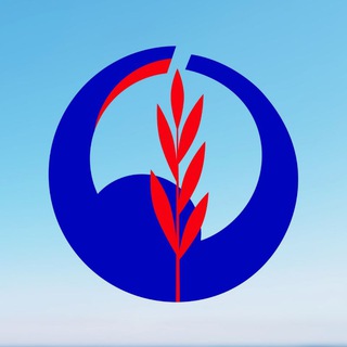 Логотип @dorogazhizny - Зимний марафон «Дорога жизни»