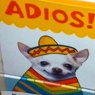 Логотип @dorogiedruzia - СЛЕПОЕ ЕБЛО