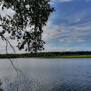 Логотип @dorojnieznaki - ДОРОЖНЫЕ ЗНАКИ