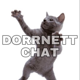 Логотип @dorrnettchat - DorrNett chat