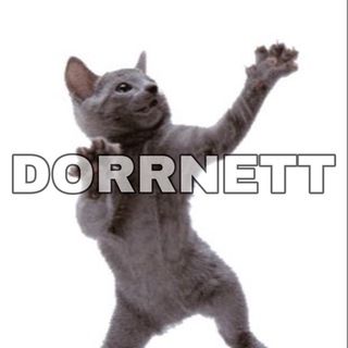 Логотип @dorrnettteam - DorrNett