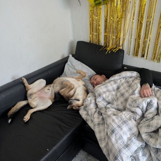 Логотип @dorzhu9 - @tuvamentor 🧿