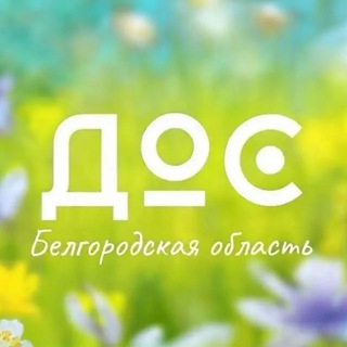 Логотип @dosbel31 - Детский совет 31 регион|ДОС31